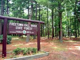Freetown State Forest
